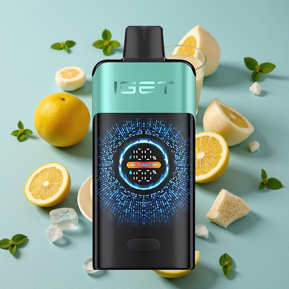 IGET ONE 12000 Puffs Disposable Vape 2700 mAh Pantano de Montaña Menta Helada