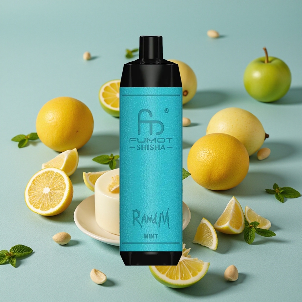 RandM Fumot Shisha 10000 Puffs Disposable Vape Menta 18ml 850mAh Tipo-C