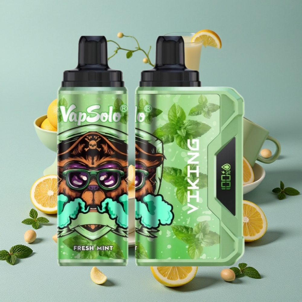 VapSolo VIKING 12000 Puffs Disposable Vape Menta Fresca con Pantalla LED y Tipo-C