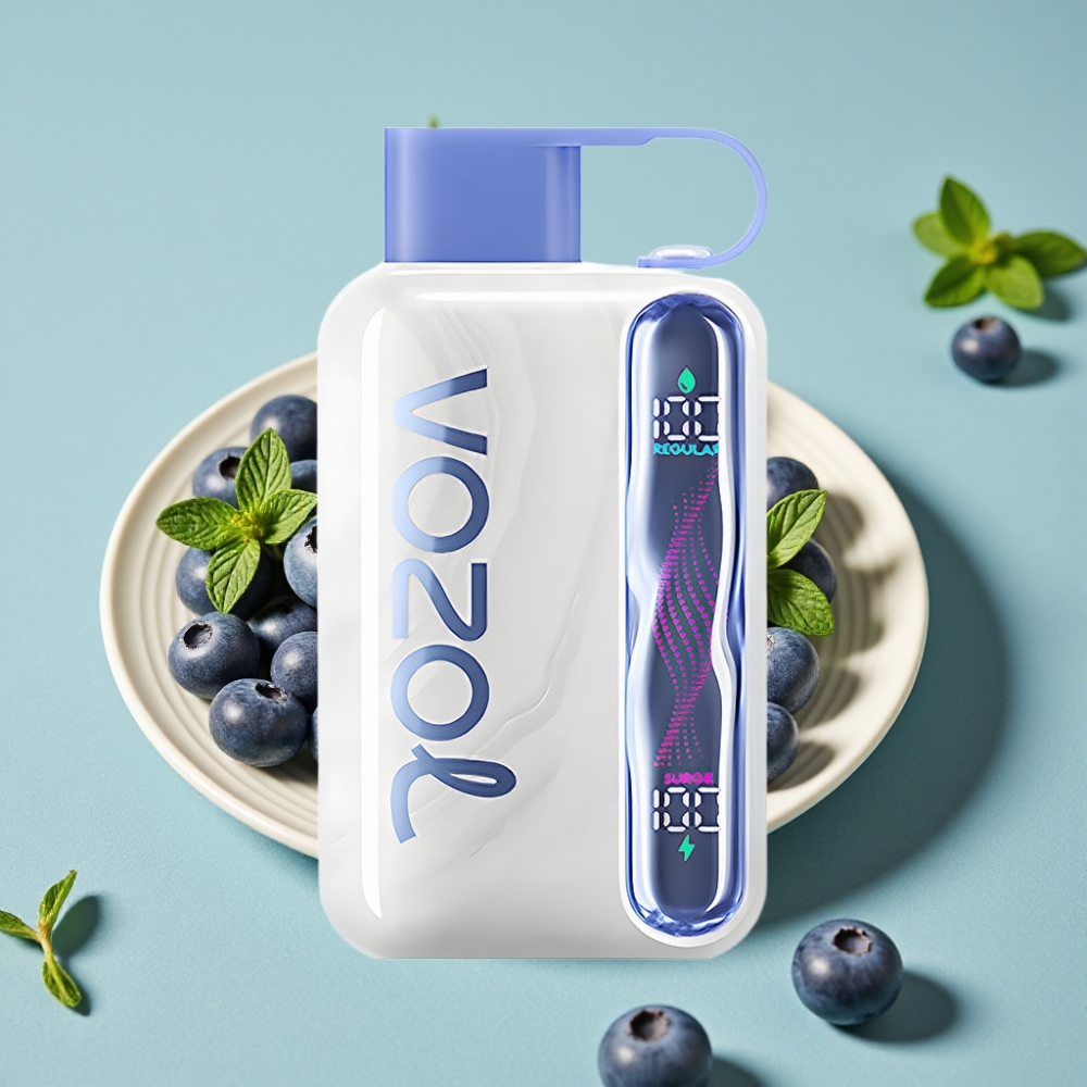 VOZOL STAR 40000 Puffs Desechable 1000mAh Tipo-C Menta Arándano vape al por mayor España