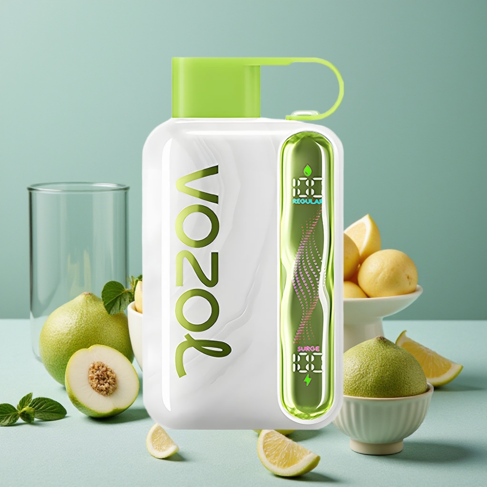 VOZOL STAR 40000 Puffs Vape Desechable Menta Refrescante 1000mAh Tipo-C 20/50mg/ml