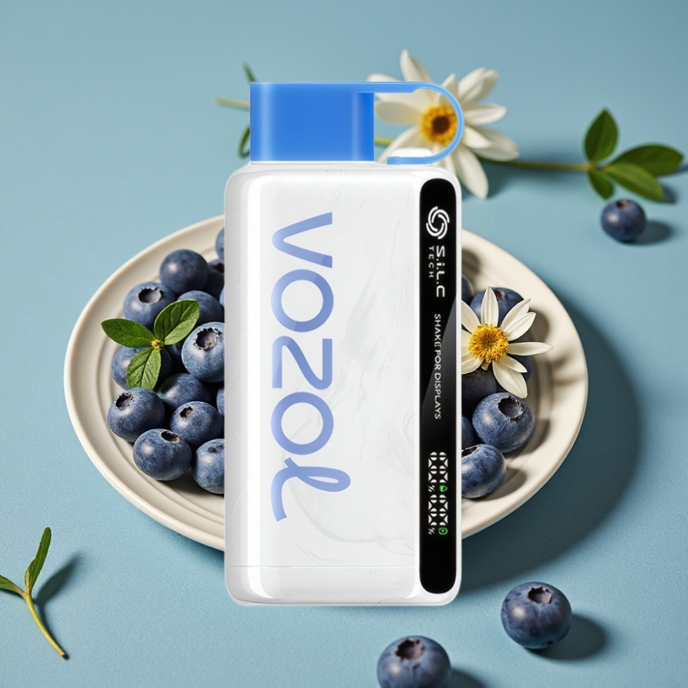VOZOL STAR 9000/12000 Desechable Tormenta de Arándanos 650mAh Reciclado Carga Rápida