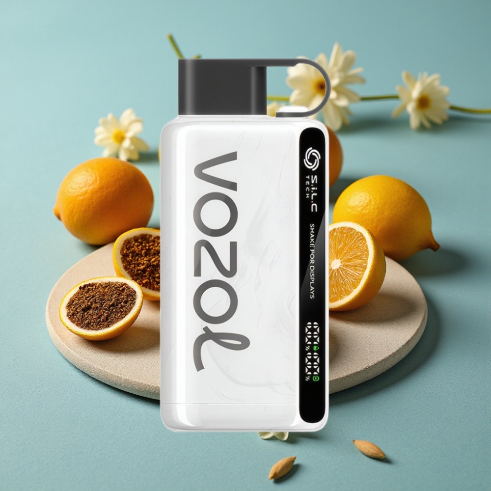VOZOL STAR 9000/12000 Desechable Vape Tabaco con Carga 30% más Rápida y 650mAh